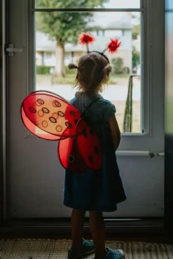 Gp Ladybug Wings & HeadBånd