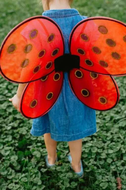 Gp Ladybug Wings & HeadBånd