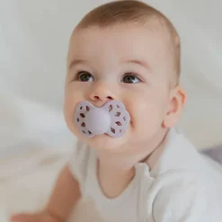 BIBS Sutter & Suttesnore*2Pk Infinity Silikone Str.1, Blush/Woodchuck