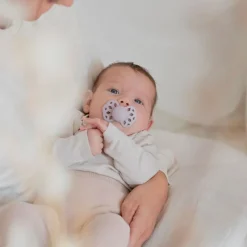 BIBS Sutter & Suttesnore*2Pk Infinity Silikone Str.1, Blush/Woodchuck