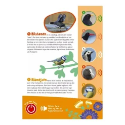 Forlaget Bolden Hojtlaesningsbøger*Bog Fugle I Vores Natur