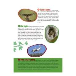 Forlaget Bolden Hojtlaesningsbøger*Bog Fugle I Vores Natur