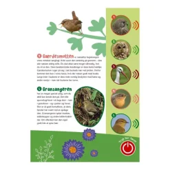 Forlaget Bolden Hojtlaesningsbøger*Bog Fugle I Vores Natur