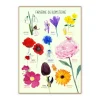 Ciha Plakater & Wallstickers*Plakat 50X70Cm, Farverne Og Blomsterne