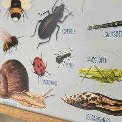 Ciha Plakater & Wallstickers*Plakat 50X70Cm, Smadyr Omkring Dig