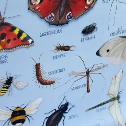 Ciha Plakater & Wallstickers*Plakat 50X70Cm, Smadyr Omkring Dig