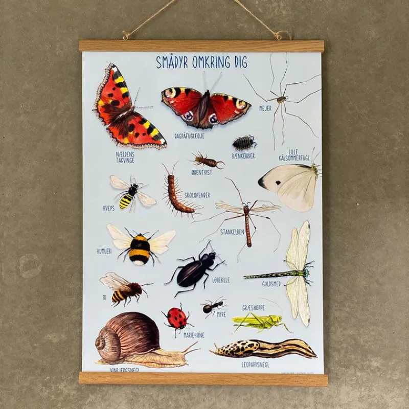 Ciha Plakater & Wallstickers*Plakat 50X70Cm, Smadyr Omkring Dig