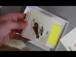 Ciha Spil*Spil Bingo Med Rim