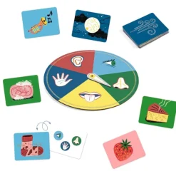 Djeco Spil*Laerespil, Sanser