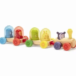 Djeco Biler & Transport*Traetog, Regnbuetoget