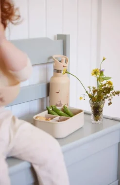 Filibabba Drikkedunke*Drikkeflaske 350Ml - Carrot Thief