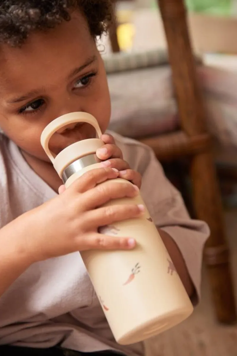 Filibabba Drikkedunke*Drikkeflaske 350Ml - Carrot Thief