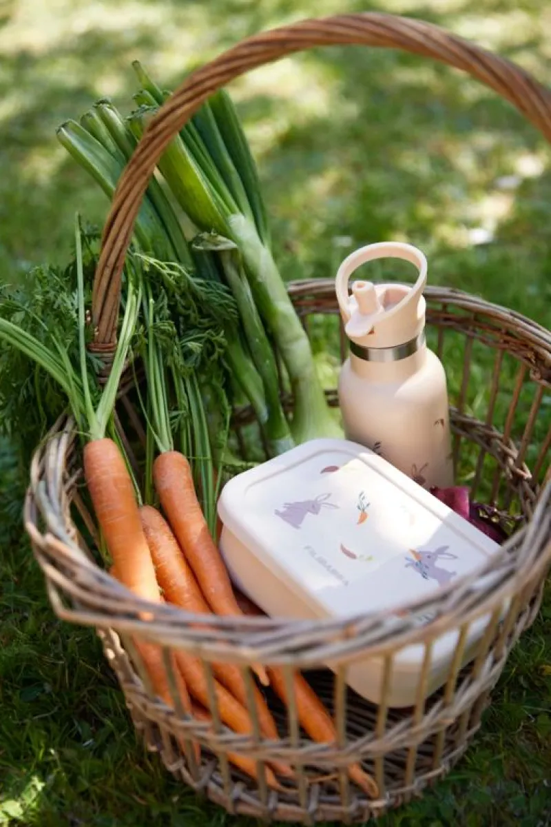 Filibabba Drikkedunke*Drikkeflaske 350Ml - Carrot Thief