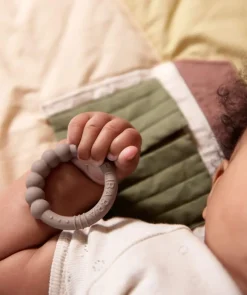 Filibabba Rangler & Bideringe*2Pk Silikone Bidering, Grey/Green