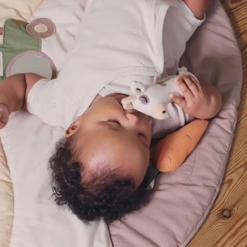 Filibabba Rangler & Bideringe*Rangle I Hor - Ko