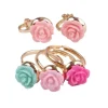 Great Pretenders Smykker*Rose Ring & Clips Oreringe