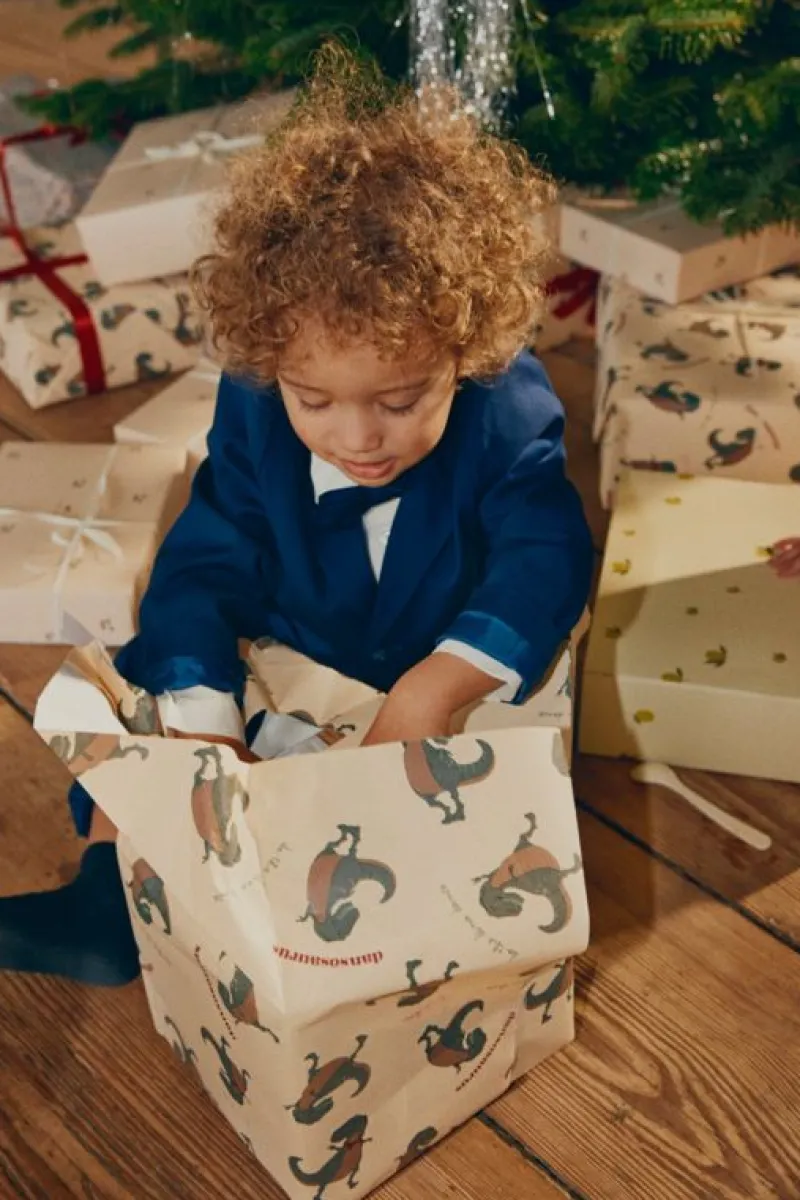 Konges sløjd Gavepapir Og Bånd*Konges Slojd 10M Gavepapir, Dansosaurus