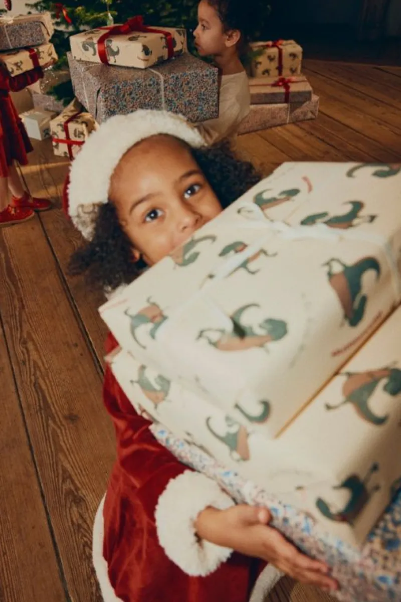 Konges sløjd Gavepapir Og Bånd*Konges Slojd 10M Gavepapir, Dansosaurus