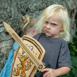 Liontouch Udklædning & Tilbehør*Woodylion Svaerd, Guld & Rod