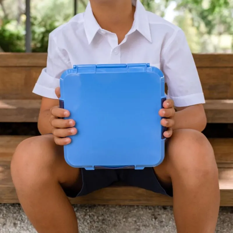 Little Lunch Box Madpakken*'Bento Three+', Blueberry