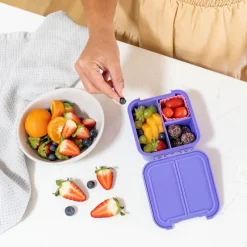 Little Lunch Box Madpakken*'Bento Two', Grape