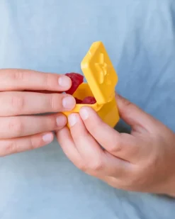 Little Lunch Box Madpakken*Sma Bokse, Pineapple