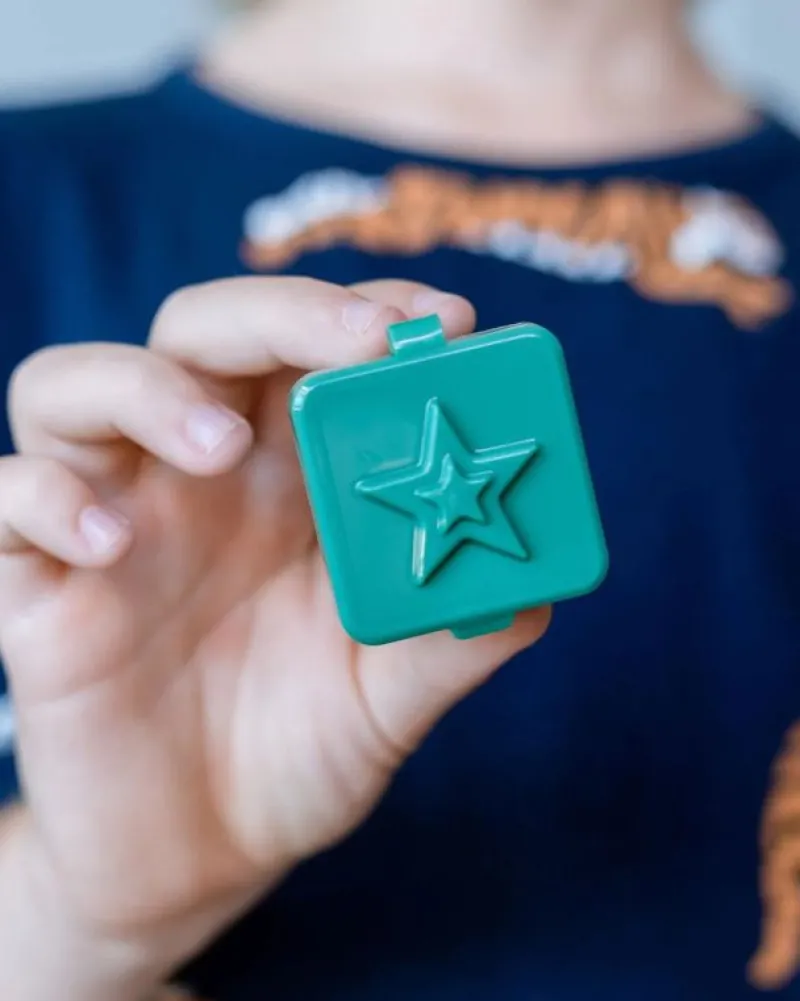 Little Lunch Box Madpakken*Sma Bokse, Apple