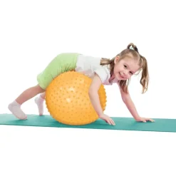 Ludi Udeleg*Aktivitetssaet