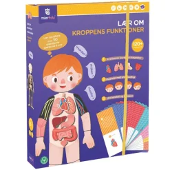 mierEdu Magneter*Magnetisk Legesaet - Laer Om Kroppens Funktioner