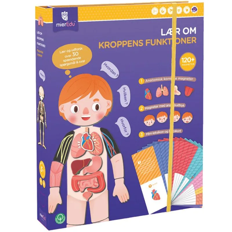 mierEdu Magneter*Magnetisk Legesaet - Laer Om Kroppens Funktioner