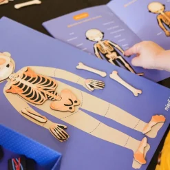 mierEdu Magneter*Magnetisk Legesaet - Laer Om Kroppens Funktioner