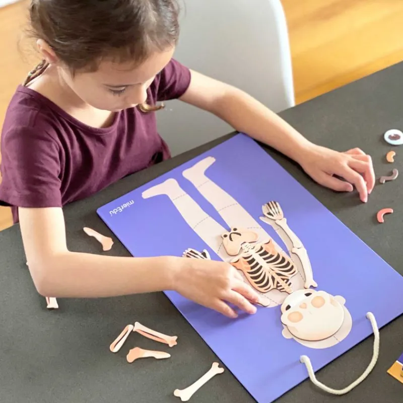 mierEdu Magneter*Magnetisk Legesaet - Laer Om Kroppens Funktioner