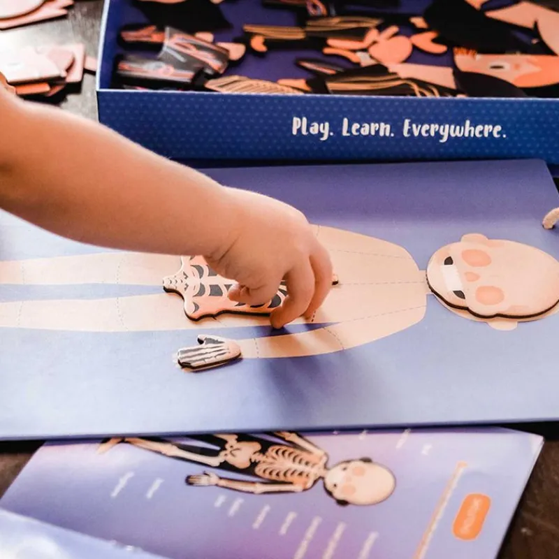 mierEdu Magneter*Magnetisk Legesaet - Laer Om Kroppens Funktioner