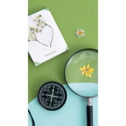 Moulin Roty Udeleg*Kompas