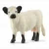 Schleich Dyr*Galloway Cow