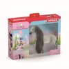 Schleich Dyr*Sb Starter Set - Sofia & Dusty