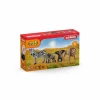Schleich Dyr*Wild Life Starter-Set