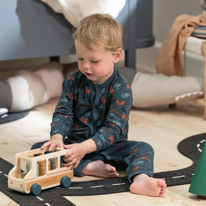 sebra Biler & Transport*Bus, Wildlife - Trae