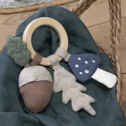 sebra Aktivitetsleg*Rangle, Blad/Svamp/Agern